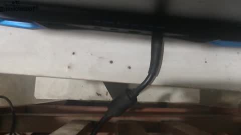 buldgeinboxer online show from January 18, 2026, 5:33 am