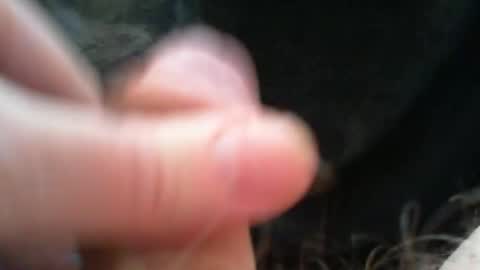 bullemoe online show from December 15, 2025, 9:13 am