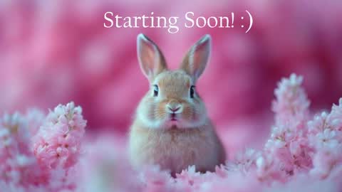 Stella online show from May 18, 2026, 9:53 pm