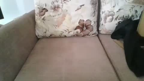 burak20x online show from October 30, 2025, 7:10 am