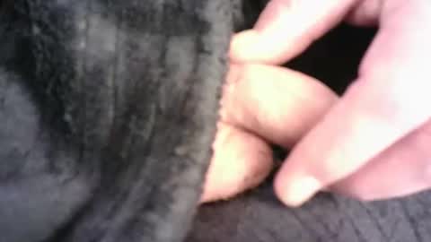 Hamish online show from March 16, 2026, 7:29 pm