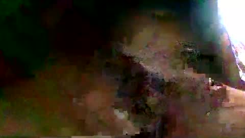 Snapshot of burro3000 chatting on December 13, 2024, 4:43 am burro3000 online show from December 13, 2024, 4:43 am