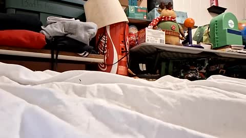 bushdoctor1 online show from September 23, 2025, 7:22 am