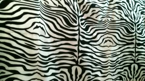 Snapshot of bustinfree chatting on September 16, 2025, 3:35 pm bustinfree online show from September 16, 2025, 3:35 pm