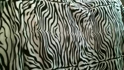 Snapshot of bustinfree chatting on December 22, 2025, 3:53 pm bustinfree online show from December 22, 2025, 3:53 pm