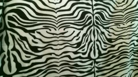 Snapshot of bustinfree chatting on January 12, 2026, 2:55 pm bustinfree online show from January 12, 2026, 2:55 pm