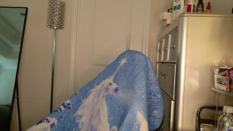 butterfly booty online show from March 30, 2026, 12:50 pm