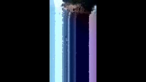 bydsknox online show from March 4, 2026, 2:06 am