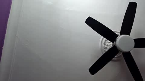 Loveittt online show from March 2, 2025, 6:08 pm