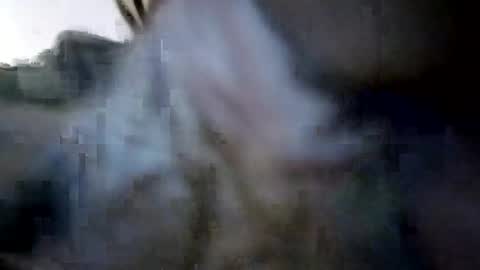 Snapshot of calvindadon chatting on August 9, 2026, 8:52 am Calvindadun online show from August 9, 2026, 8:52 am