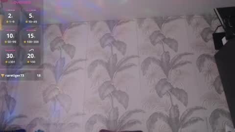 CamDiva1 online show from April 3, 2026, 6:11 am