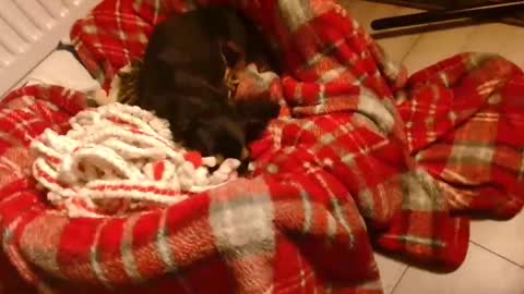 CamDoAttitude online show from January 28, 2025, 8:58 pm