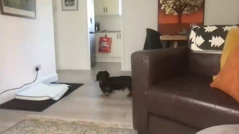 CamDoAttitude online show from September 23, 2025, 11:46 am