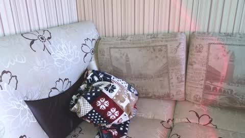 Snapshot of cameron_crowly chatting on January 17, 2025, 9:17 am Cameron online show from January 17, 2025, 9:17 am