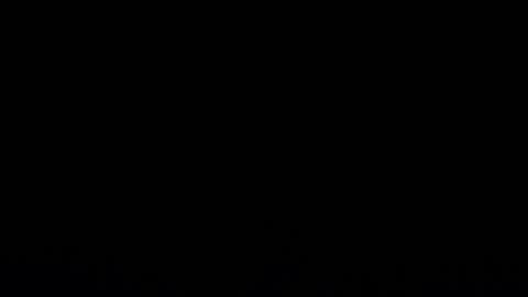 camilio96 online show from February 3, 2026, 2:53 am