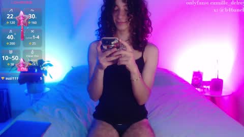 Snapshot of camille_delrey chatting on December 13, 2024, 2:54 am  Camille   online show from December 13, 2024, 2:54 am