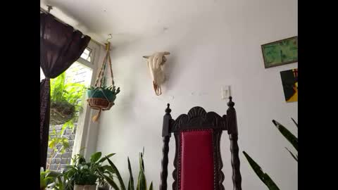  Camille   online show from November 8, 2025, 2:39 pm