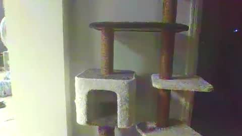 cammyman6900 online show from November 20, 2025, 4:34 am