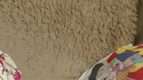 say meow and send tip  online show from February 14, 2025, 8:05 pm