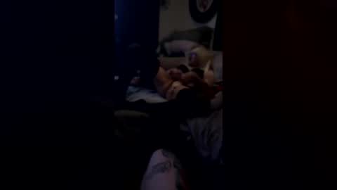 carlacee online show from July 3, 2026, 12:11 pm