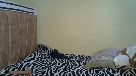 Snapshot of carlex_ chatting on March 11, 2025, 2:40 pm carlex_ online show from March 11, 2025, 2:40 pm