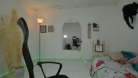 master online show from November 29, 2025, 12:41 pm