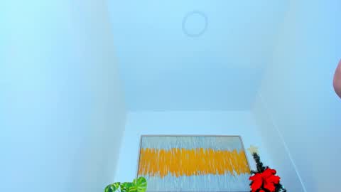 Snapshot of carlota_peach chatting on January 8, 2025, 3:17 pm Andrea online show from January 8, 2025, 3:17 pm