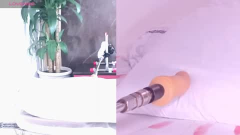 Carol online show from April 16, 2026, 11:11 am