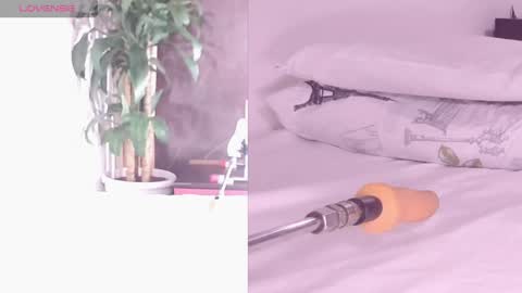 Carol online show from April 26, 2026, 12:03 pm