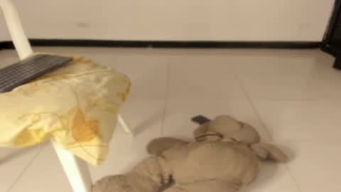 Caro online show from March 11, 2026, 12:22 pm