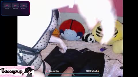 caseypup online show from December 2, 2025, 11:56 pm