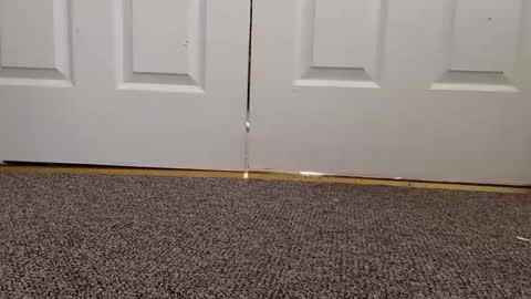 Snapshot of cash13bychanel chatting on January 22, 2025, 8:17 pm cash13bychanel online show from January 22, 2025, 8:17 pm