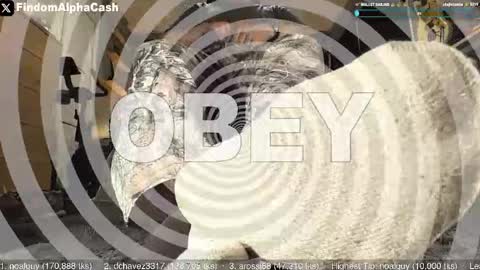 Snapshot of cashmastergrey chatting on May 15, 2026, 4:08 am Master Grey online show from May 15, 2026, 4:08 am