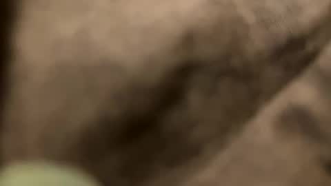 Snapshot of casidy1 chatting on February 2, 2025, 11:21 pm casidy1 online show from February 2, 2025, 11:21 pm