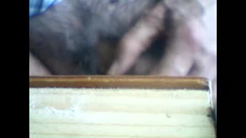 Snapshot of castells chatting on June 5, 2026, 2:56 pm castells online show from June 5, 2026, 2:56 pm