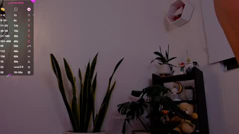 Snapshot of catalella_01 chatting on January 6, 2025, 11:52 pm MACARENA online show from January 6, 2025, 11:52 pm