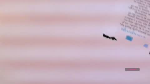 Cataleya online show from December 1, 2025, 11:04 am