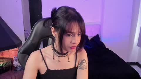 Cat  online show from December 24, 2024, 4:30 pm