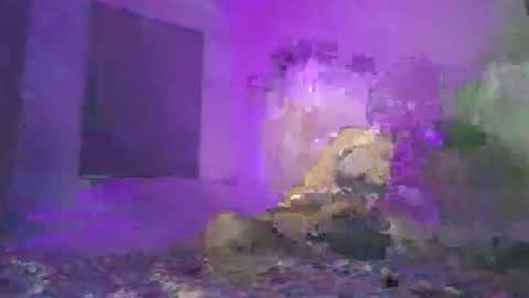 cazrus online show from February 24, 2026, 2:48 pm