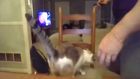 cbisc online show from March 28, 2026, 12:10 am