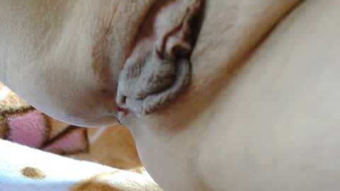 Snapshot of cbz112233 chatting on March 4, 2026, 3:40 pm ANNYANNY online show from March 4, 2026, 3:40 pm