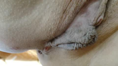 Snapshot of cbz112233 chatting on March 24, 2026, 5:51 pm ANNYANNY online show from March 24, 2026, 5:51 pm