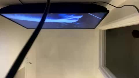ccsexycam online show from April 10, 2026, 1:00 am
