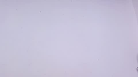 Celeste online show from October 8, 2025, 11:52 am