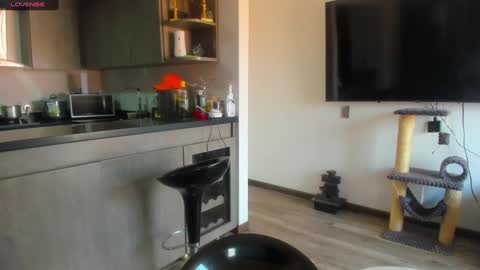 Snapshot of celeste_pervert chatting on January 15, 2025, 6:51 pm mia sofiabohorquez INSTAGRAM online show from January 15, 2025, 6:51 pm