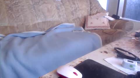 Snapshot of chacoa chatting on April 26, 2026, 9:29 am chacoa online show from April 26, 2026, 9:29 am