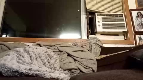 Chad420247 online show from February 4, 2026, 3:23 am