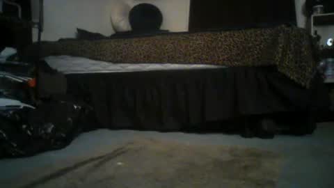 GigaChad online show from June 24, 2026, 4:55 am
