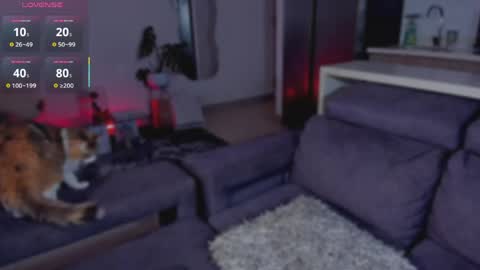  x online show from June 7, 2026, 2:59 am