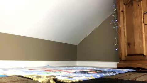 Snapshot of chenovich chatting on January 4, 2025, 1:42 pm chenovich online show from January 4, 2025, 1:42 pm